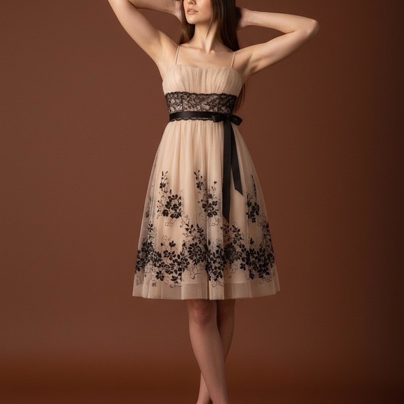 OC OLEG CASSINI VINTAGE INSPIRED TULLE SILK LINED DRESS SZ 8 - Picture 4 of 12